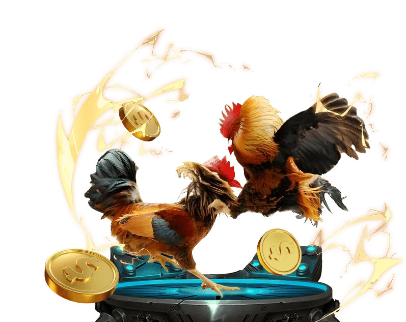 Hướng Dẫn Xem Trực Tiếp Đấu Gà