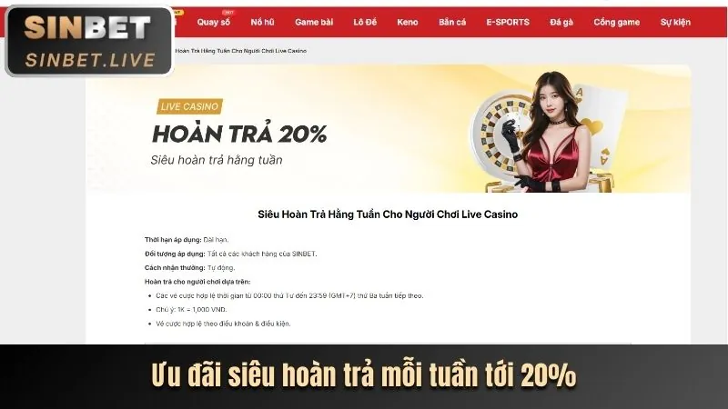 Chương Trình VIP Độc Quyền daga thôm